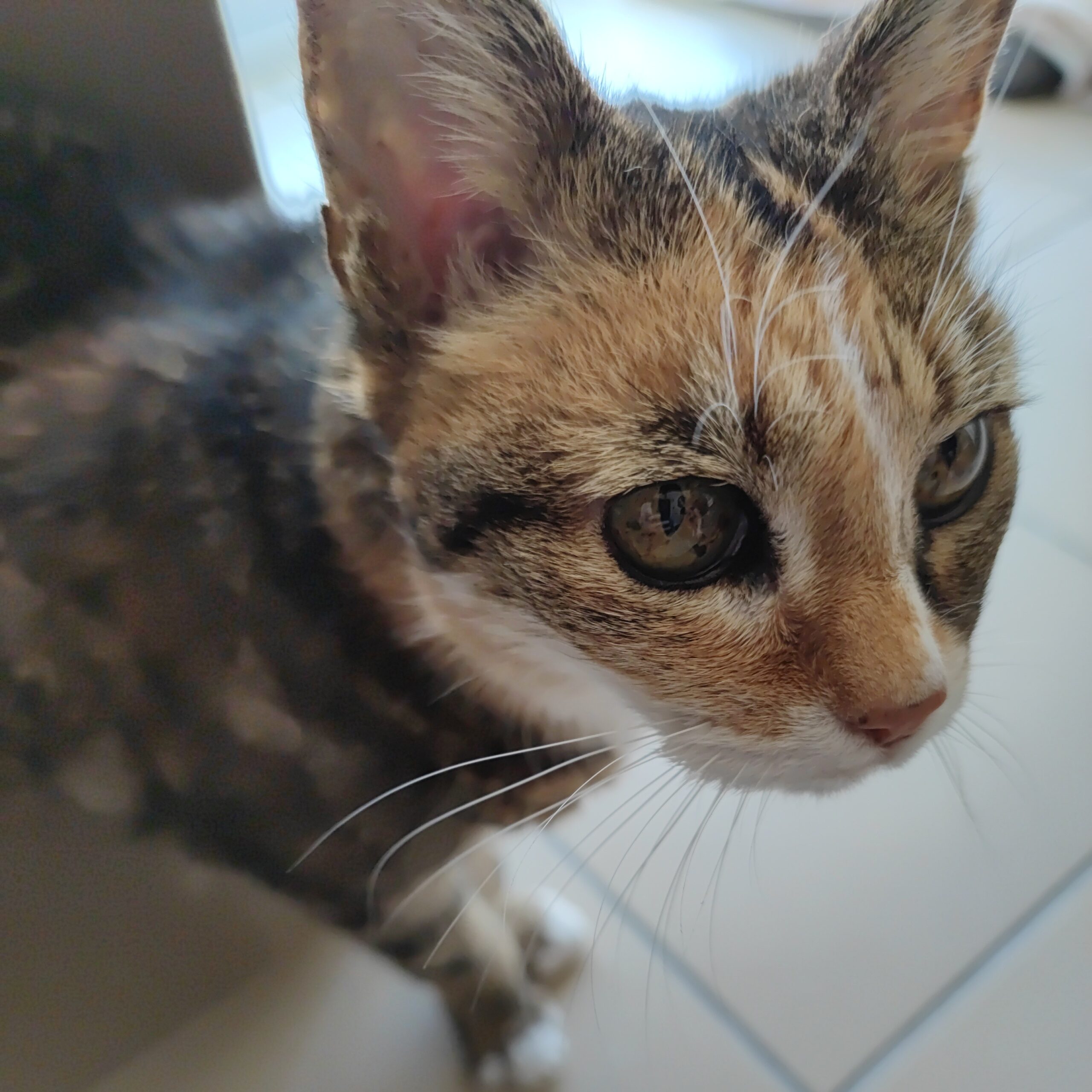 Photo d’Annie TORRES NOGUERA